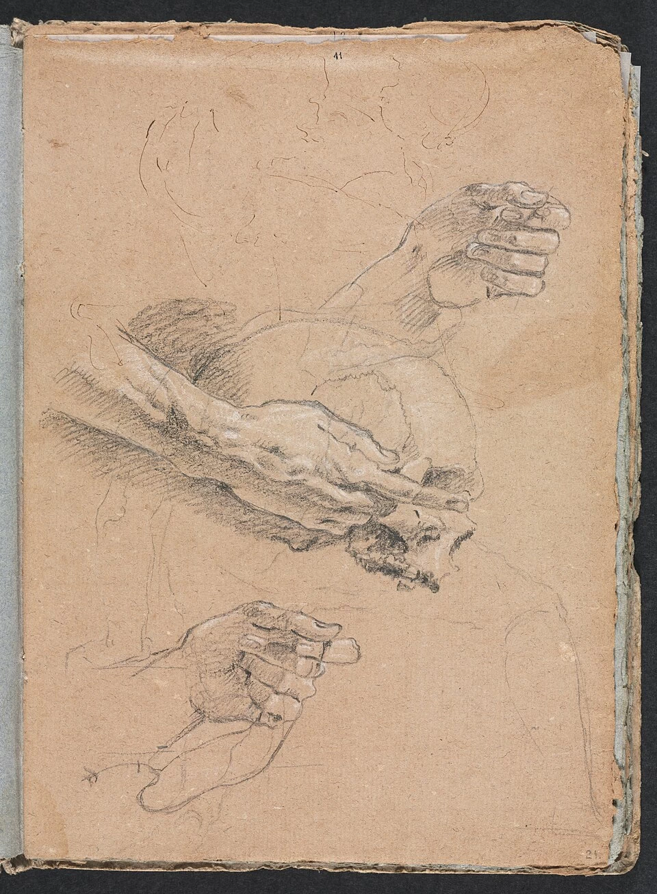 Studio di mani e cranio - Cleveland Museum of Art